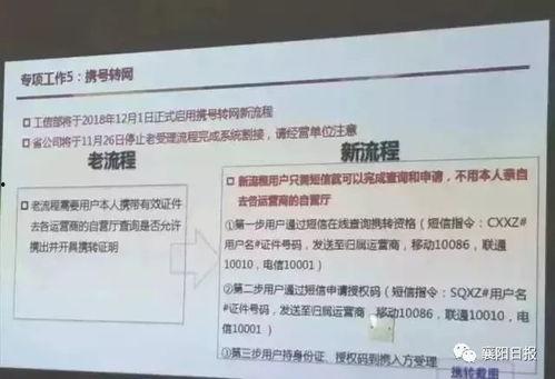 襄县今日爆料电话多少号,揭秘电话号码背后的秘密