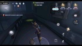 第五人格bug最新爆料,揭秘游戏漏洞与修复进展  第2张